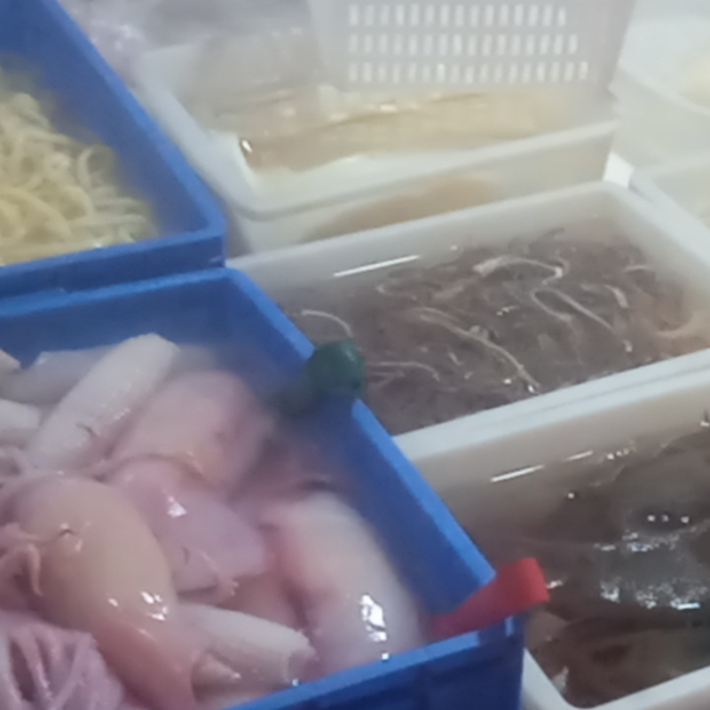 毛肚，尤鱼，鸭肠批发零售