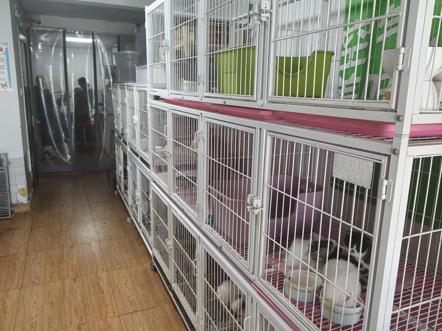 宠物寄养照料服务预约