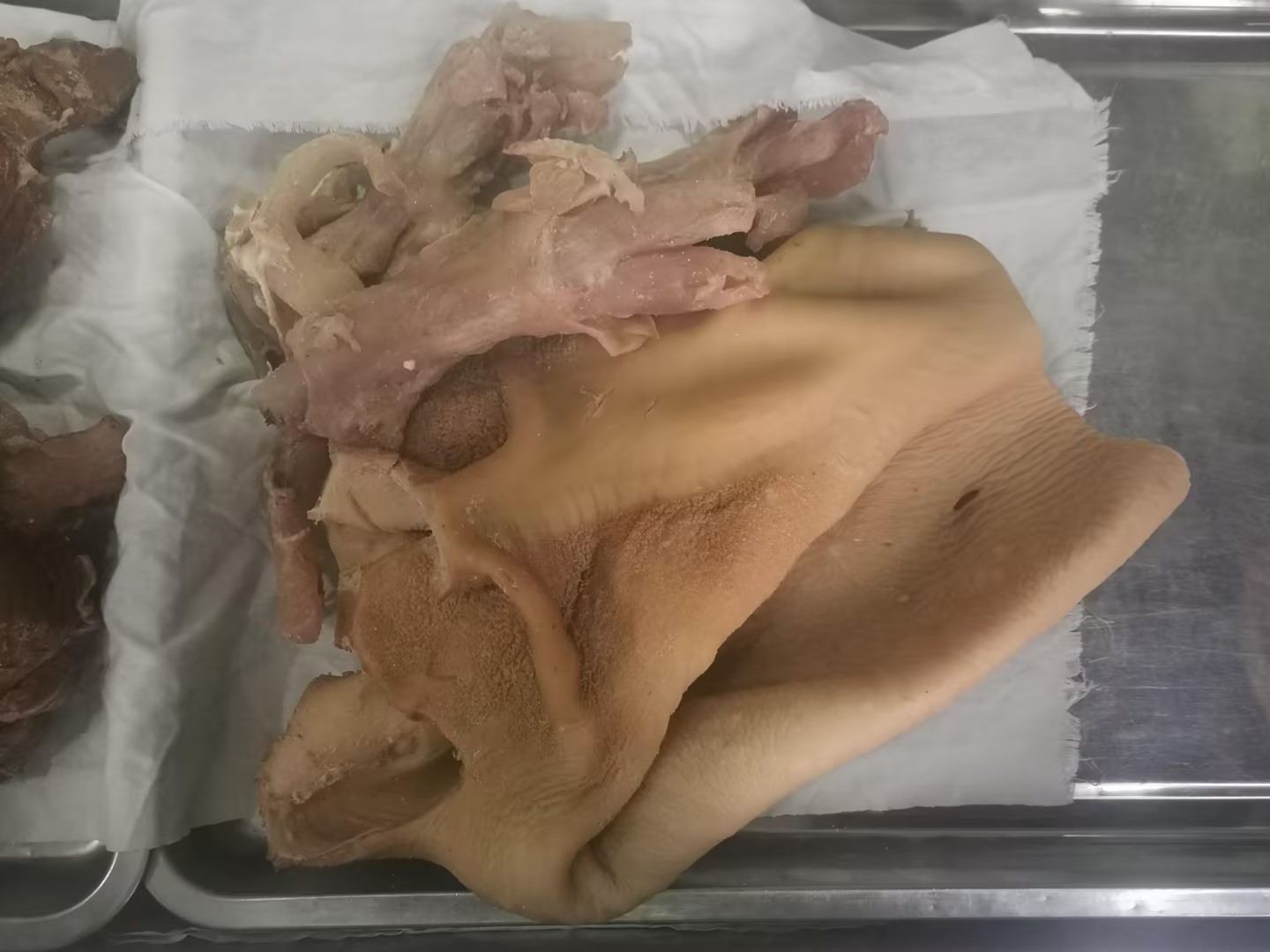 牛筋